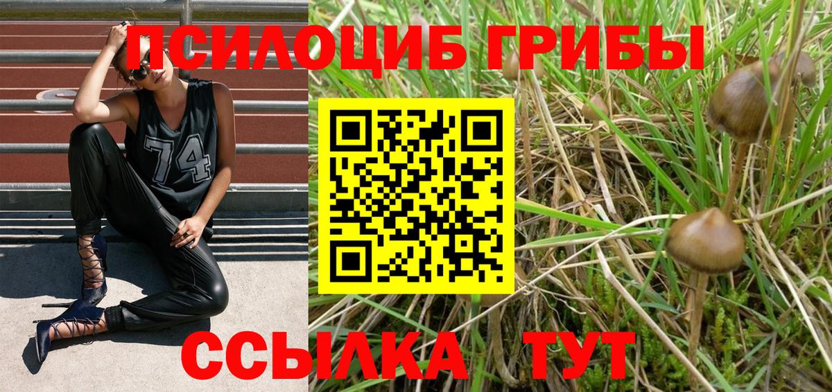 Псилоцибиновые грибы Magic Shrooms  Вход с VPN  Кыштым  Галлюциногенные грибы ЛСД 