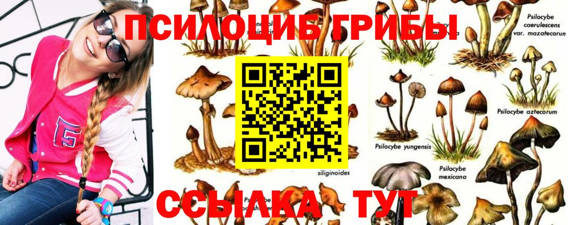 Псилоцибиновые грибы MAGIC MUSHROOMS Кыштым